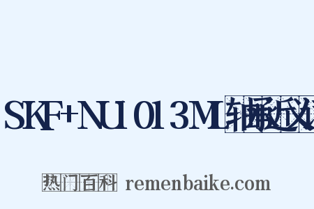 SKF+NU1013ML轴承近义词是什么意思的图片